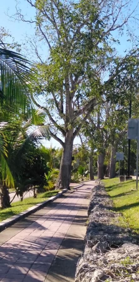 Hotelito Kuyche Bacalar Εξωτερικό φωτογραφία